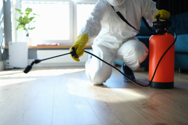 Reliable Odor Removal contractor in Terra Bella, CA by Dulley Family Biohazard Services
